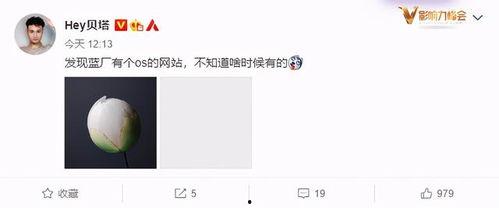 爆料彩蛋视频大全,精彩瞬间一网打尽